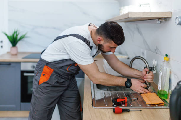 Best Local Plumber Services  in Elkins, WV